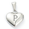 304 Stainless Steel Pendants X-STAS-P278-01P-P-1