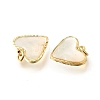Natural White Shell & Epoxy Resin Charms KK-E794-02G-04-2