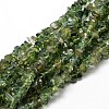 Natural Apatite Chip Beads Strands G-E241-83-1