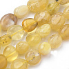 Natural Yellow Opal Beads Strands G-Q952-23-6x8-1