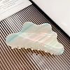 Cloud Cellulose Acetate(Resin) Claw Hair Clips PW-WG2FFB7-02-1