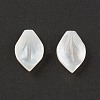 Natural Sea Shell Beads SSHEL-T012-15-3