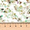 Natural Chalcedony Chip Beads G-G318-01-3