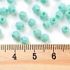 Baking Paint Glass Seed Beads SEED-A032-02C-4