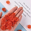 Transparent Frosted Acrylic Bead Caps X-MACR-S371-04A-726-5