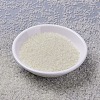 MIYUKI Round Rocailles Beads X-SEED-G007-RR3504-2