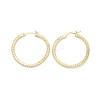 Circle Ring Rack Plating Brass Cubic Zirconia Hoop Earrings for Women EJEW-K245-18G-1