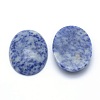 Natural Blue Spot Jasper Cabochons G-P393-I09-2