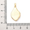 Brass Enamel Pendants KK-S502-06G-3