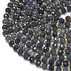 Natural Iolite Beads Strands G-K389-E01-01-3