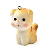 Resin Pendants LS-FIND-U031-06P-1