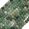 Natural Green Aventurine Beads Strands G-S150-10mm-4-2