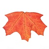 50Pcs Maple Leaf Theme Paper Stickers STIC-P017-C01-5