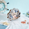 Shell Shape Wooden Jewelry Display Cases with Visible Window ODIS-SP0001-14B-4