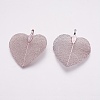 Natural Leaf Pendants KK-F747-A05-2