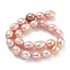 Natural Cultured Freshwater Pearl Beads Strands PEAR-P062-29G-3
