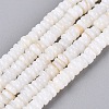 Natural Freshwater Shell Beads Strands SHEL-Q028-01A-1