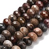 Natural Petrified Wood Beads Strands G-C259-A06-8x12mm-01-2