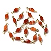 Natural Red Agate Connector Charms FIND-C046-09A-G-1