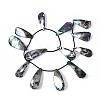 AB Color Plated Dyed Natural Freshwater Shell Beads Strands SHEL-T020-55B-2