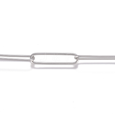 Tarnish Resistant 3.28 Feet 304 Stainless Steel Chains X-CHS-G017-09P-1