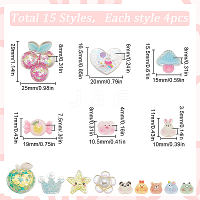 60Pcs 15 Styles Transparent Resin Cabochons CRES-SC0002-83-1