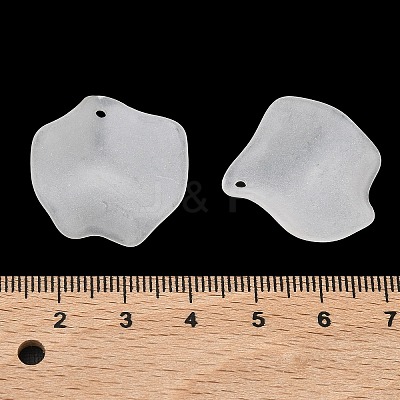 Frosted Acrylic Pendants SACR-F016-02C-1