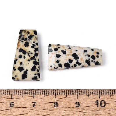 Natural Dalmatian Jasper Pendants G-Q601-10B-1