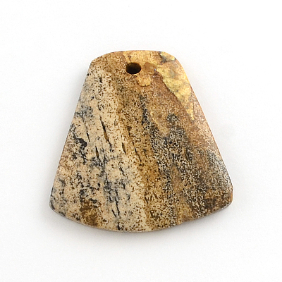 Picture Jasper Gemstone Pendants G-R270-10-1