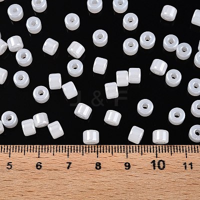 Glass Seed Beads SEED-T008-01A-1