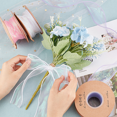 3 Rolls 3 Colors Flat Rainbow Color Nylon Organza Ribbon OCOR-CA0001-29-1