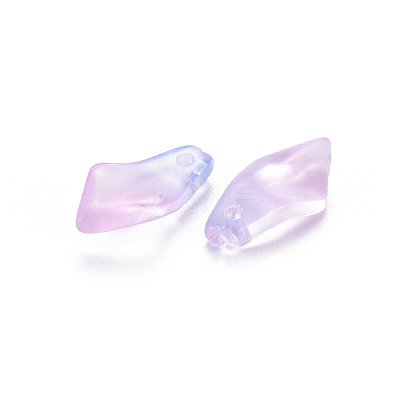 Mixed Style Glass Charms GLAA-S190-019-1