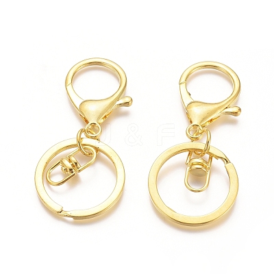 Iron Alloy Lobster Claw Clasp Keychain X-KEYC-D016-G-1