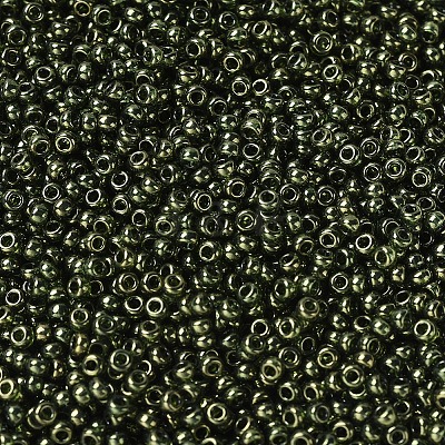 MIYUKI Round Rocailles Beads X-SEED-G007-RR0306-1