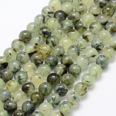Natural Prehnite Beads Strands G-P322-48-12mm-1