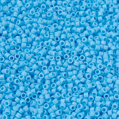 MIYUKI Delica Beads Small X-SEED-J020-DBS0879-1