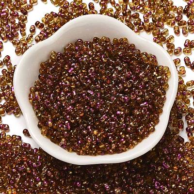Spray Painted Glass Seed Beads SEED-F005-03A-03-1