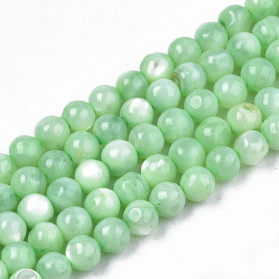Natural Freshwater Shell Beads Strands SHEL-N003-24-B03-1