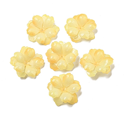 Acrylic Pendants MACR-M046-02-1