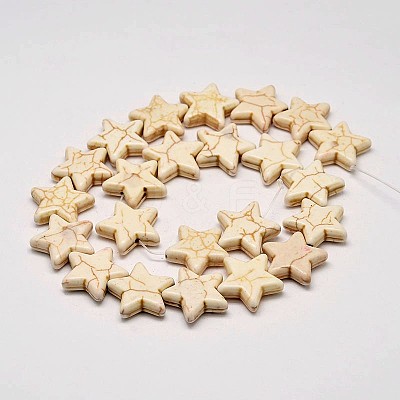 Dyed Synthetic Turquoise Bead Strands G-M144-04-C-1