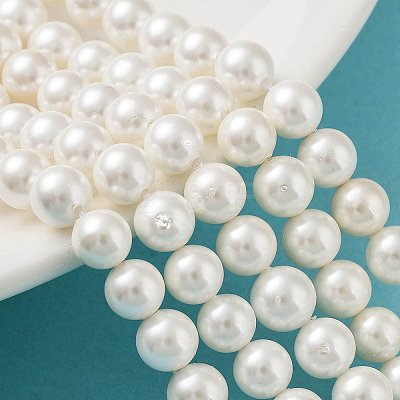 Shell Pearl Bead Strands BSHE-L026-03-8mm-1