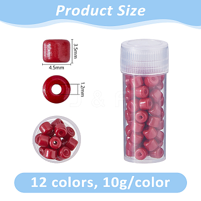 120G 12 Colors Baking Paint Pearlized Glass Seed Beads SEED-DC0001-21-1