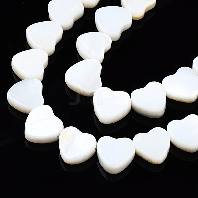 Natural Freshwater Shell Beads Strands SHEL-N026-152-1