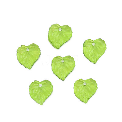 Transparent Acrylic Pendants X1-TACR-T012-05-1