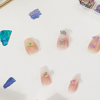 1 Set 12 Grid Nuggets Abalone Shell Nail Art Sequins for Woman Girls MRMJ-SP0001-07-1