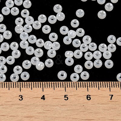 Glass Seed Beads SEED-H002-E-A141-1