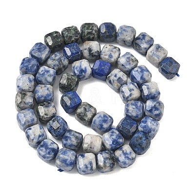 Natural Blue Spot Jasper Beads Strands G-C267-A20-1