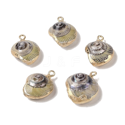 Natural Conch Pendant BSHE-H018-11G-1