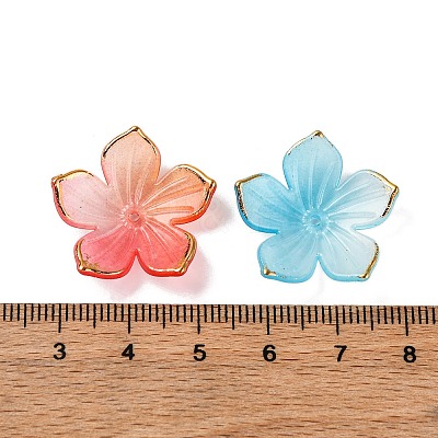 Transparent Acrylic Bead Caps TACR-P011-03G-1
