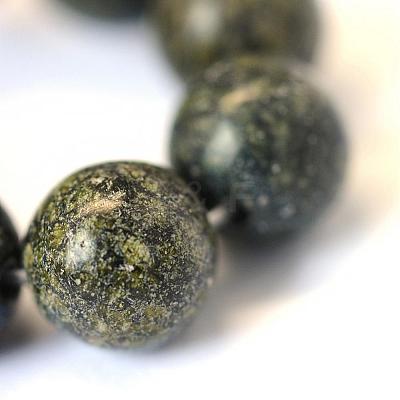 Natural Serpentine/Green Lace Stone Round Bead Strands G-E334-8mm-14-1